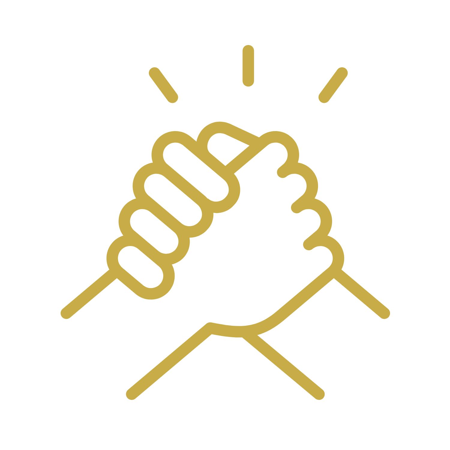 Personalised Legal Advice Ringwood